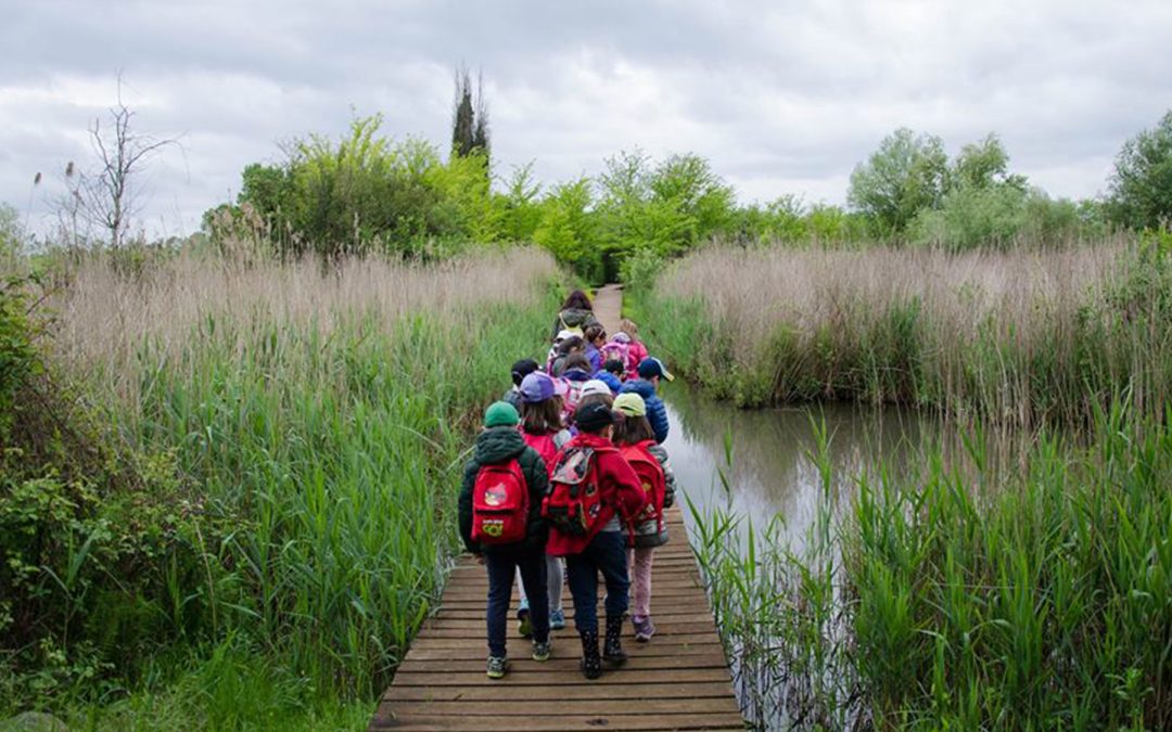 Le “PICCOLE GUIDE di Natura e Cultura” tornano sui sentieri di Pantanello di Ninfa