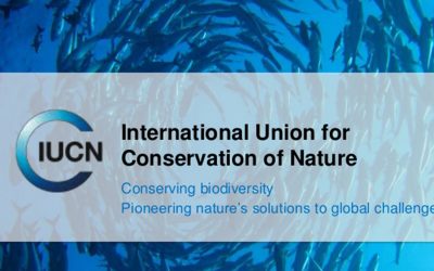 Ancora un successo per il progetto NèB, recensito ora anche dall’IUCN