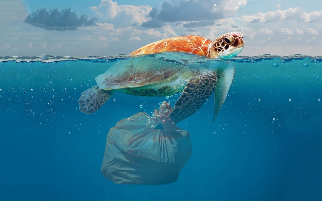 Inquinamento da plastica e tutela degli ecosistemi marini: pubblicato il volume “NET4mPLASTIC”