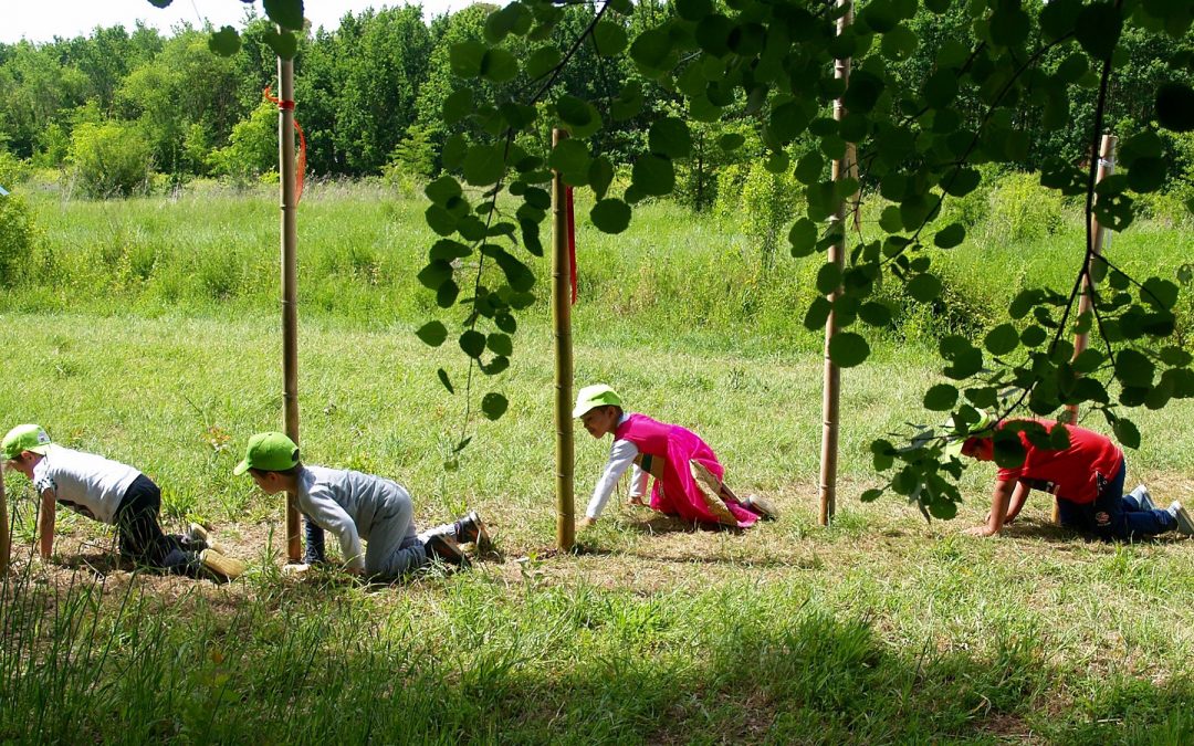 #NatureForAll: il CURSA in prima linea con il progetto NèB