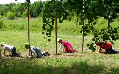 #NatureForAll: il CURSA in prima linea con il progetto NèB