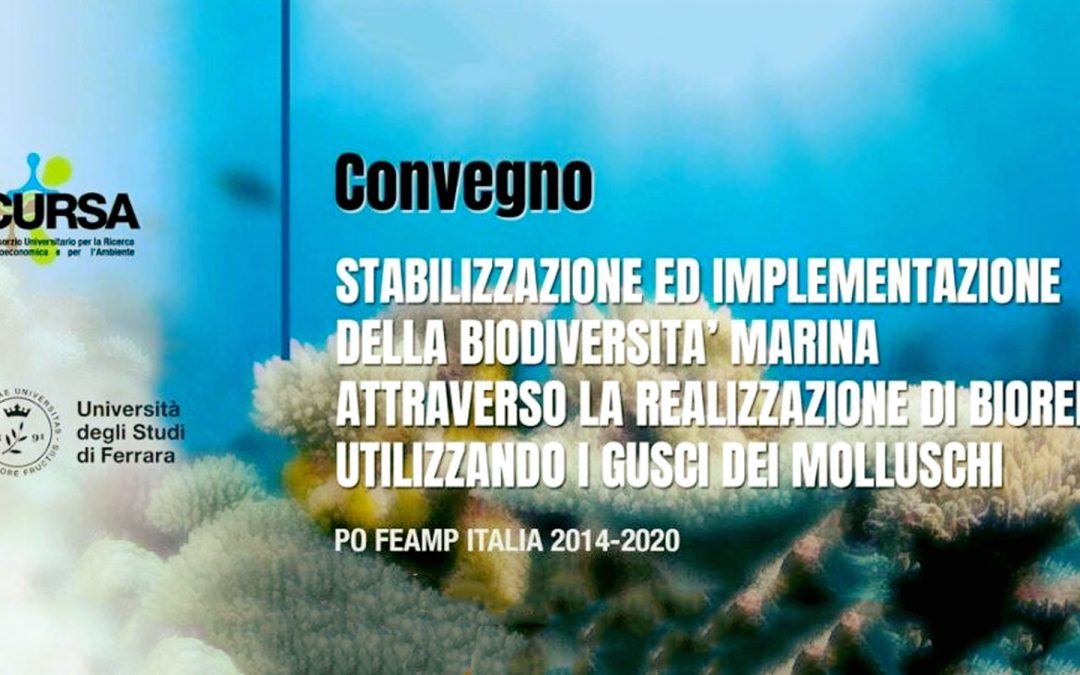 Economia circolare e tutela degli ecosistemi marini: presentati i risultati del Progetto Bioreef