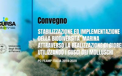 Economia circolare e tutela degli ecosistemi marini: presentati i risultati del Progetto Bioreef
