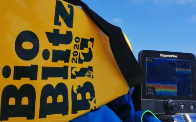 “BIOBLITZ BLU 2020”: online il sito del CURSA dedicato alla biodiversità del mare