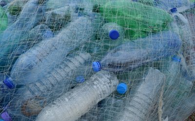 Inquinamento da plastica e tutela degli ecosistemi marini: i prossimi 10 e 18 dicembre due webinar formativi del progetto NET4mPLASTIC