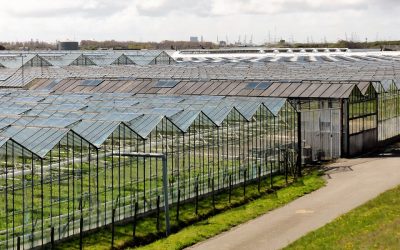 Valorizzare la produzione agricola nei parchi e nelle riserve di Roma: l’evento conclusivo di AGaRIC