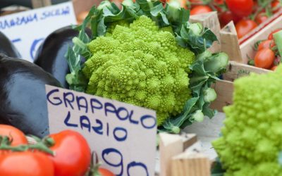 Food Strategy. Firmato accordo tra il CURSA e la Città Metropolitana di Roma Capitale