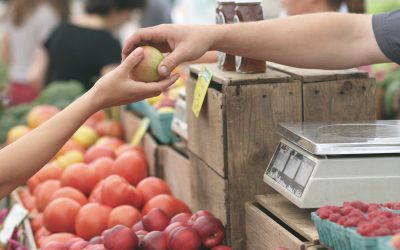 Food Policy di Roma, CURSA: «Decisione importante e a lungo attesa. Realizzare al più presto politica del cibo per rispondere a problemi attuali della Capitale»