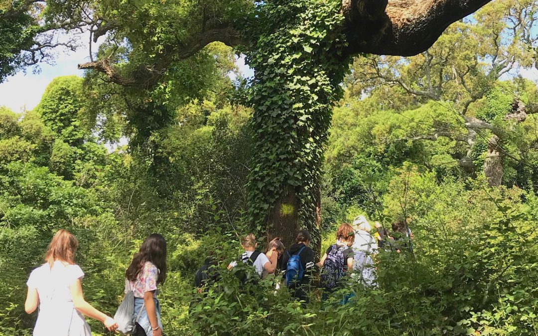Giornata Europea dei Parchi, CURSA: “Per una vera transizione ecologica rilanciamo il ruolo dei parchi in Italia”