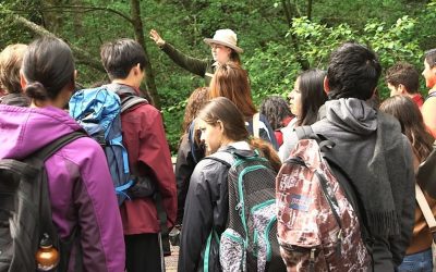 BioBlitz nella Riserva Naturale Regionale “Sughereta” di Pomezia