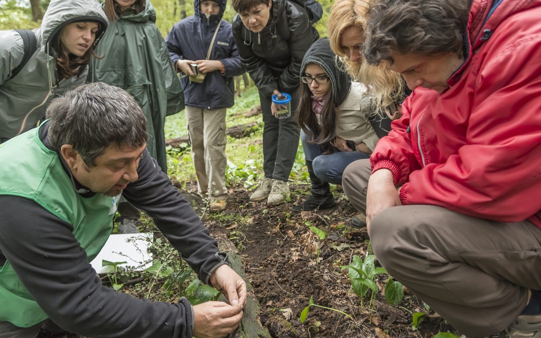 Progetto BioBlitz 2012