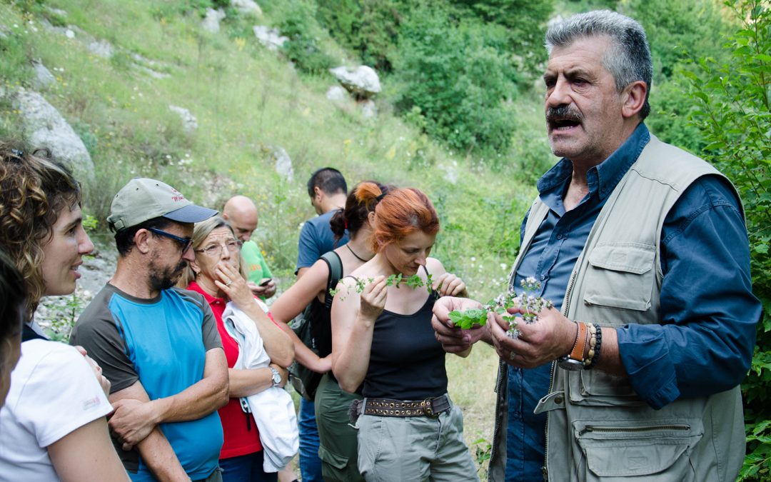 Progetto BioBlitz 2014