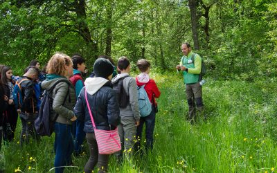 Progetto BioBlitz 2017