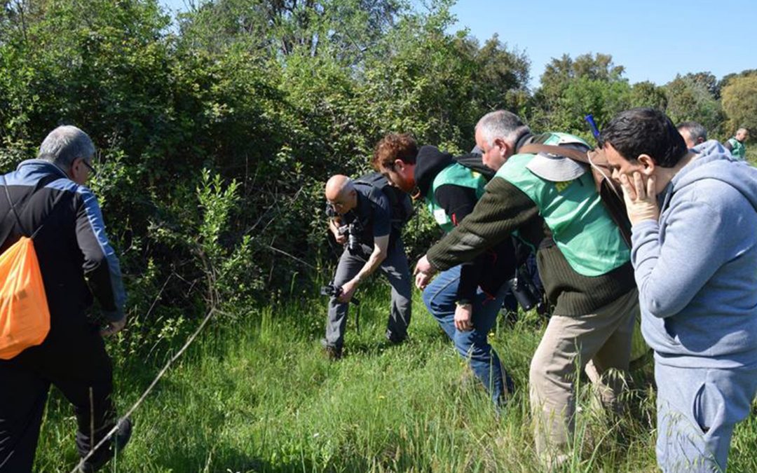 Progetto BioBlitz 2018