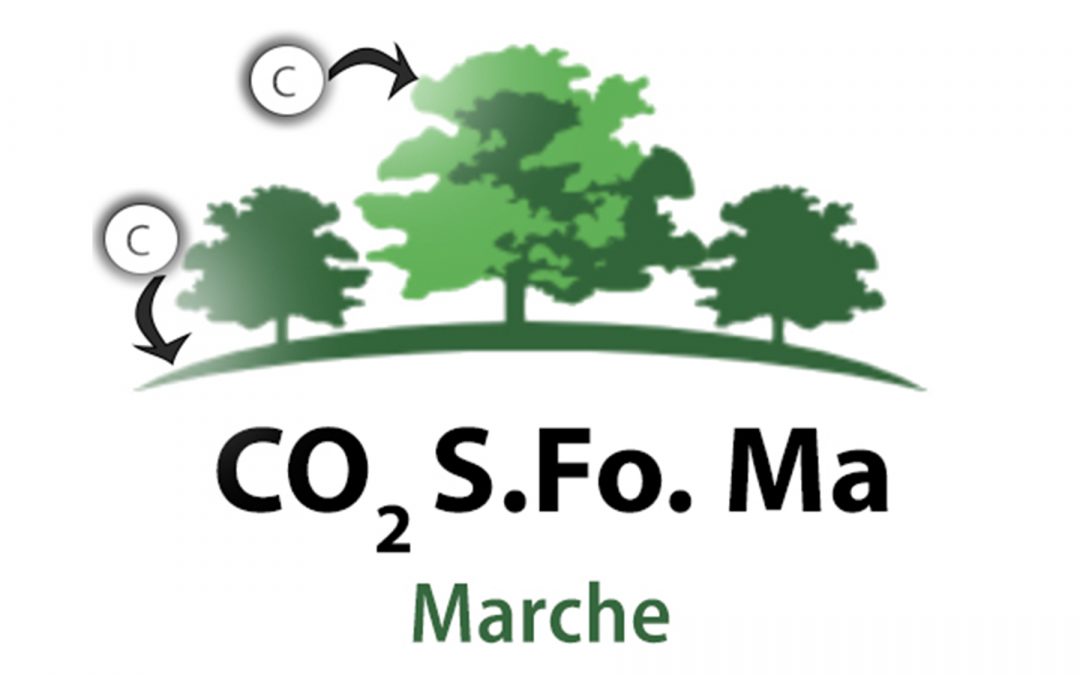 Progetto CO2 S.Fo.Ma. MARCHE (2019/2021)