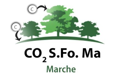Foreste gestite e sequestro del carbonio: fase finale per il progetto “CO2 Stored in Forests Management MARCHE”