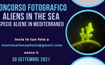 Progetto “Aliens in the Sea”: al via il concorso fotografico