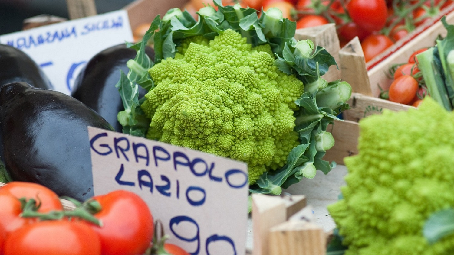 Piano del cibo Presentazione dell’Atlante del cibo della CM di Roma