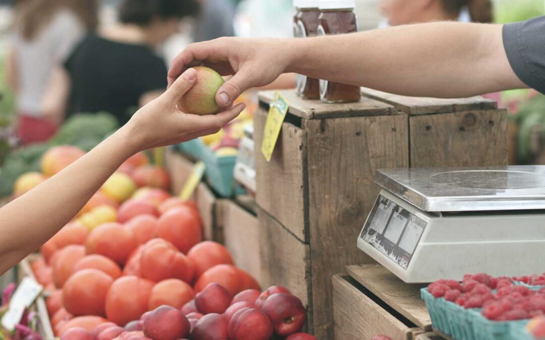 Pubblicato l’Atlante del Cibo di Roma Capitale