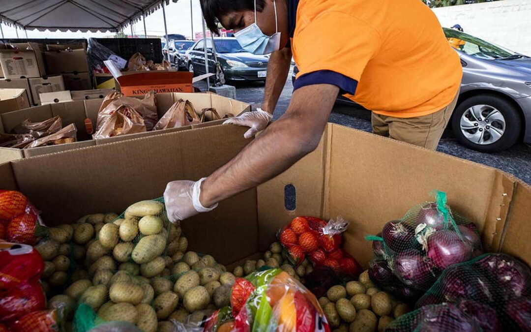 Osservatorio sull’Insicurezza Alimentare, il 25 gennaio evento sui risultati