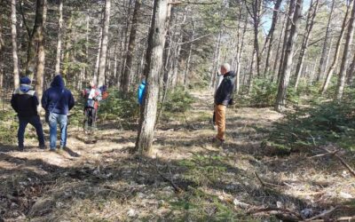 Progetto “CO2 Stored in Forests Management MARCHE”: a Fabriano il convegno finale “Bosco di marca”