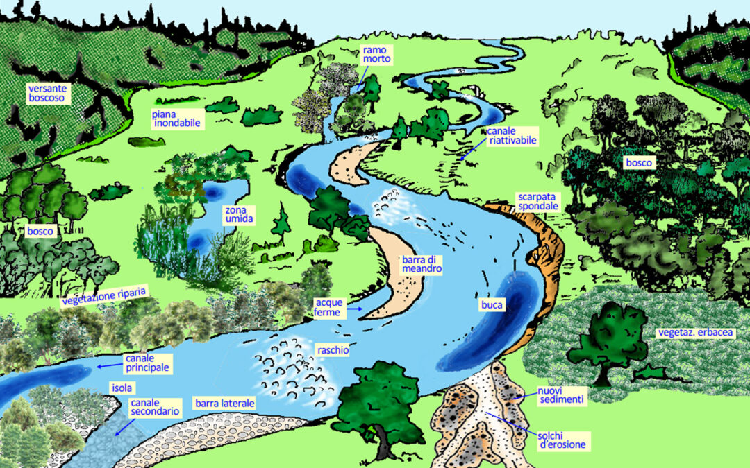 Progetto Contratto di fiume Volturno (2023)