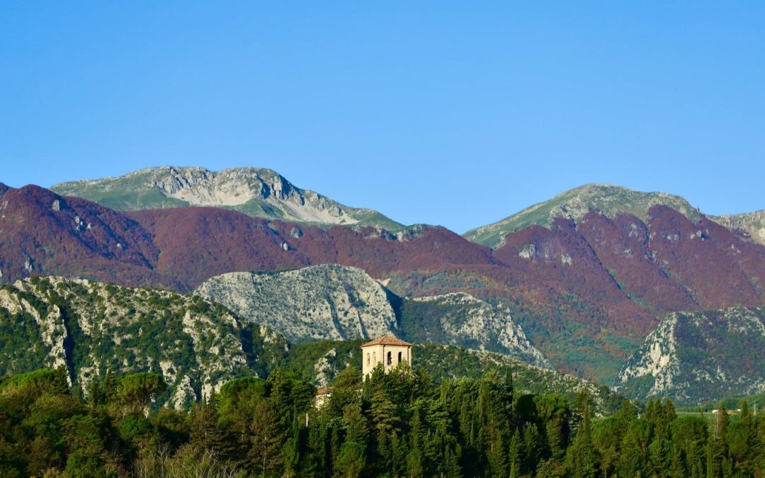 Valorizzazione del Parco Nazionale della Sila