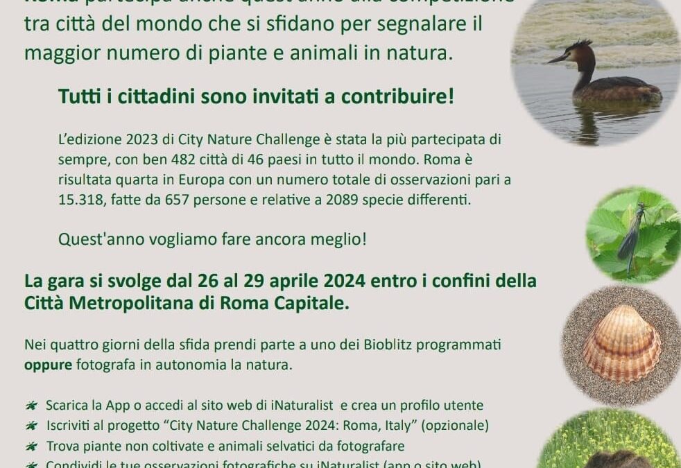 City Nature Challenge (2024)