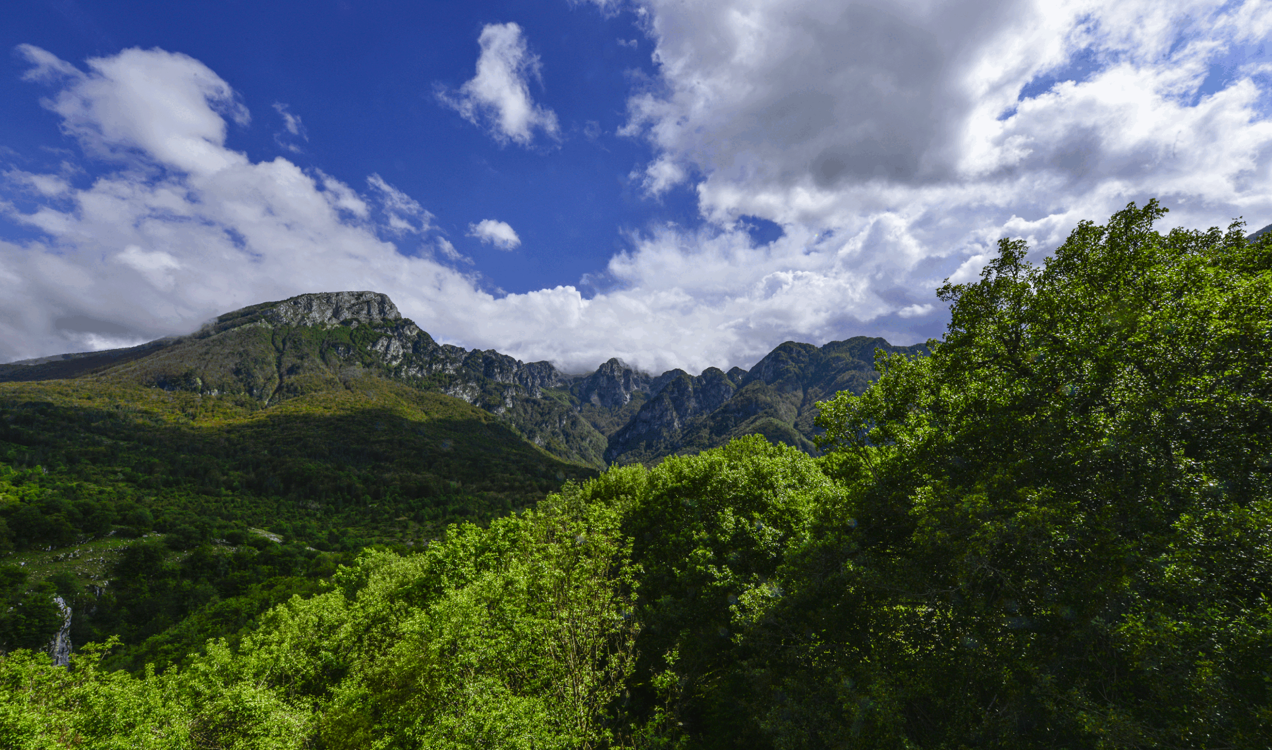 camosciara_archivio_parco_nazionale_dAbruzzo_Lazio_Molise_Valentino_Mastrella_alta