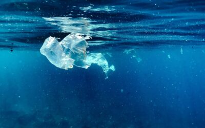 Progetto “Adriplast”: a Sibari una giornata di confronto tra ricerca, istituzioni e territorio